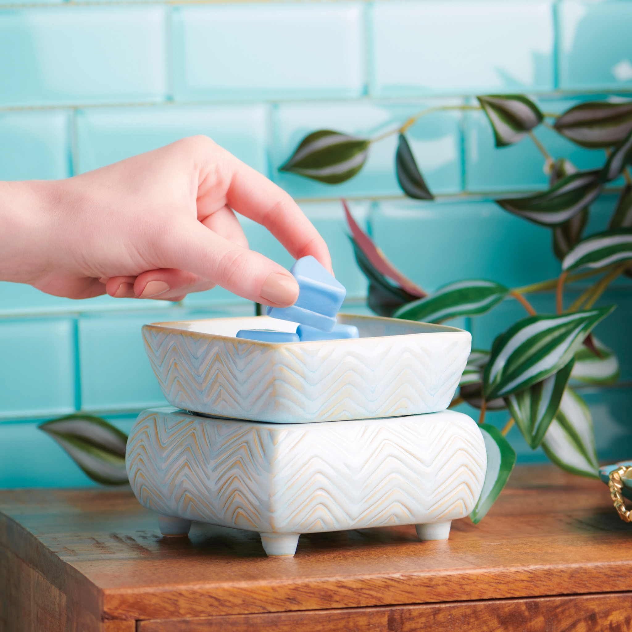 Transform Your Home with Fragrance